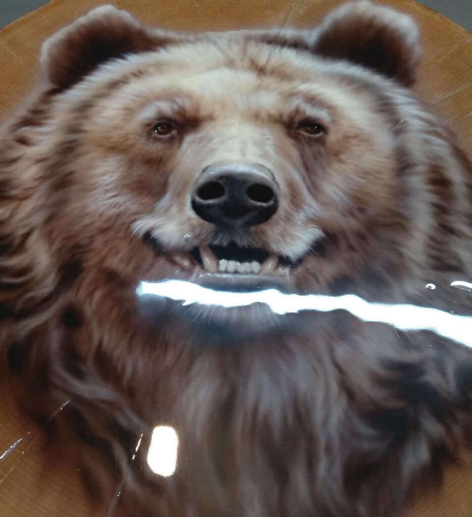 Портрет медведя крупным планом